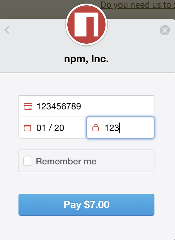 Screenshot of the payment form
