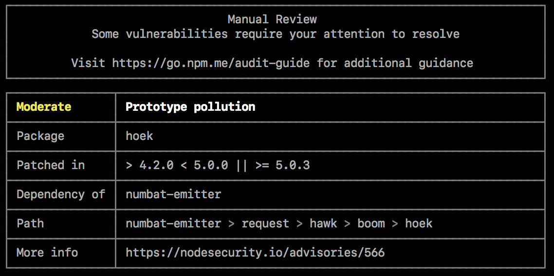 Screenshot of command-line audit results requiring a manual review